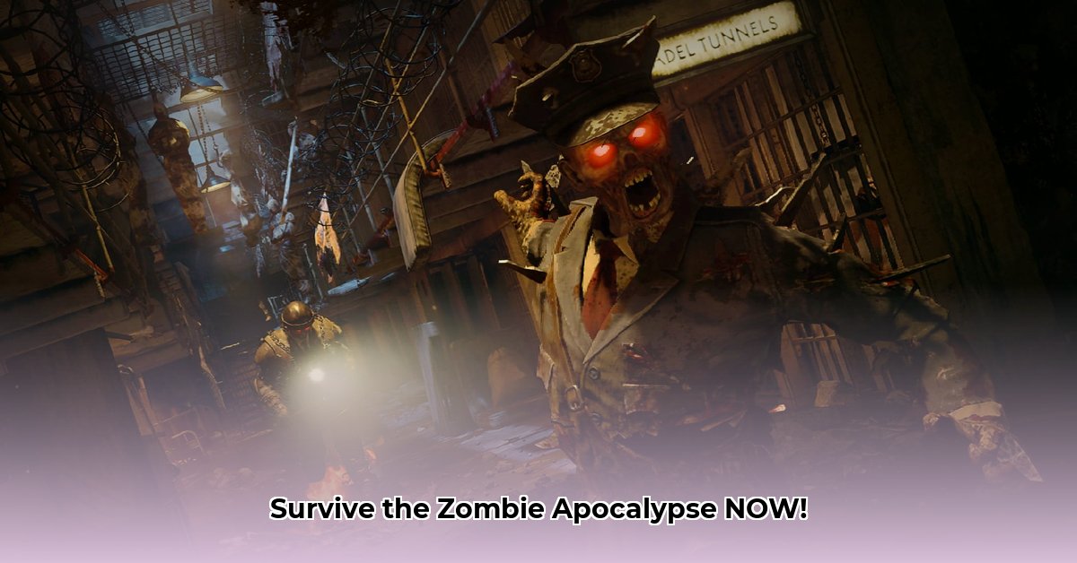 cod-bo-zombies-free-download